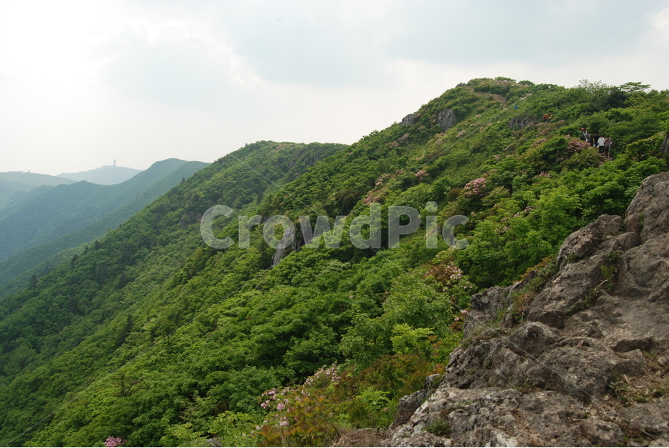 산,mountain,tree,nature,trail,등산로,자연,풍경,nature,landscape,outdoors,옥외,hill,언덕