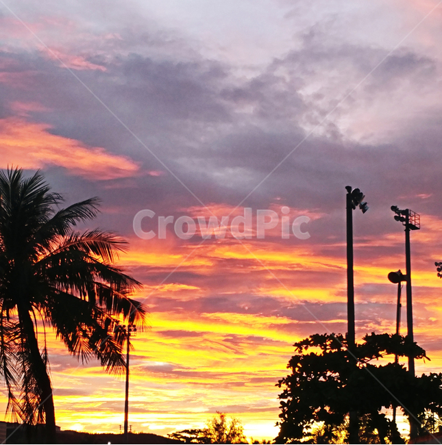 palmtree,sunset,redsunset,redcloud,dusk,야자수,노을,땅거미,구름,자연,풍경,nature,landscape,실루엣,그림자,silhouette,shadow