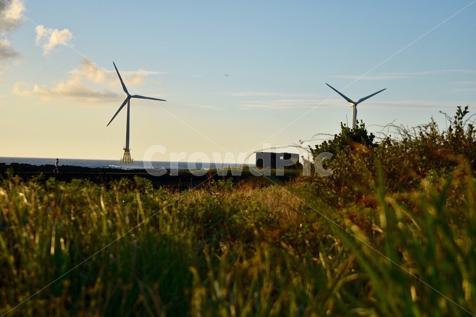풍력발전기,풀,하늘,노을,구름,자연,풍경,nature,landscape,machine,기계,engine,엔진,motor,모터,turbine,터빈,wind turbine,풍력 터빈