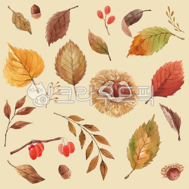 Botanical,fruit,pattern,branch,red,Maple leaf,fallen leaves,fall,botanical,leaves,drawing,season,mushroom,Maple,handwork,Fruit,hand drawing,nature,brown,leaf,Red,watercolor,painting,background,plant,maple,purple,illustration,autumn,Watercolor
