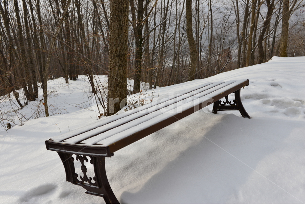nature,자연,outdoors,옥외,snow,눈,winter,겨울,furniture,가구,bench,벤치,parkbench,공원벤치,설경,계절,겨울,계절,winter,season