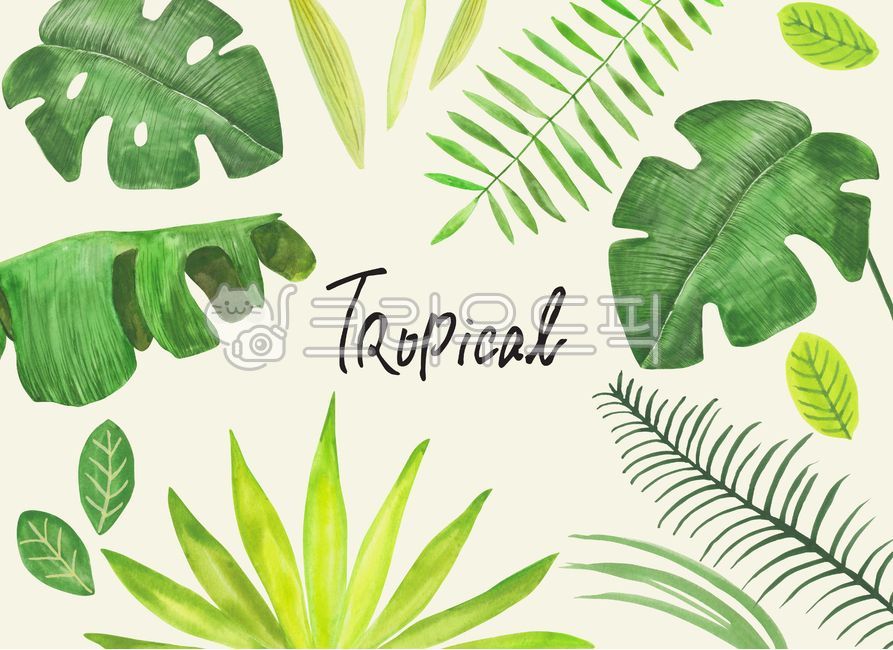 식물,자연,배경,백그라운드,수채화,수작업,일러스트,일러스트레이션,그림,드로잉,여름,시즌,계절,열대,트로피컬,열대식물,여름식물,열대나무,포스터,이국적인,나뭇잎,야자수,캘리그라피,캘리,영어,몬스테라,plant,nature,background,watercolor,drawing,painting,illustration,summer,season,tropical,poster,leaf,calligraphy,frame,green,palm,tree,그래픽,일러스트레이션,graphic,illustration