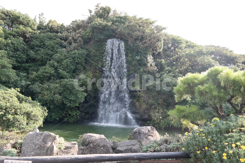 water,물,nature,자연,river,강,폭포,waterfall,옥외,outdoors,제주도,자연,풍경,nature,landscape