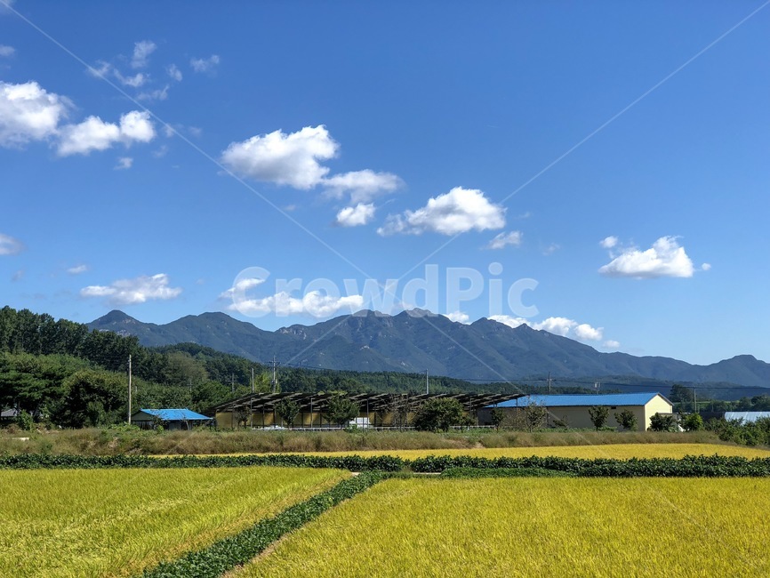 시골,한국,풍경,전원,구름,하늘,논,밭,시골,마을,풍경,landscape,country,rural,town