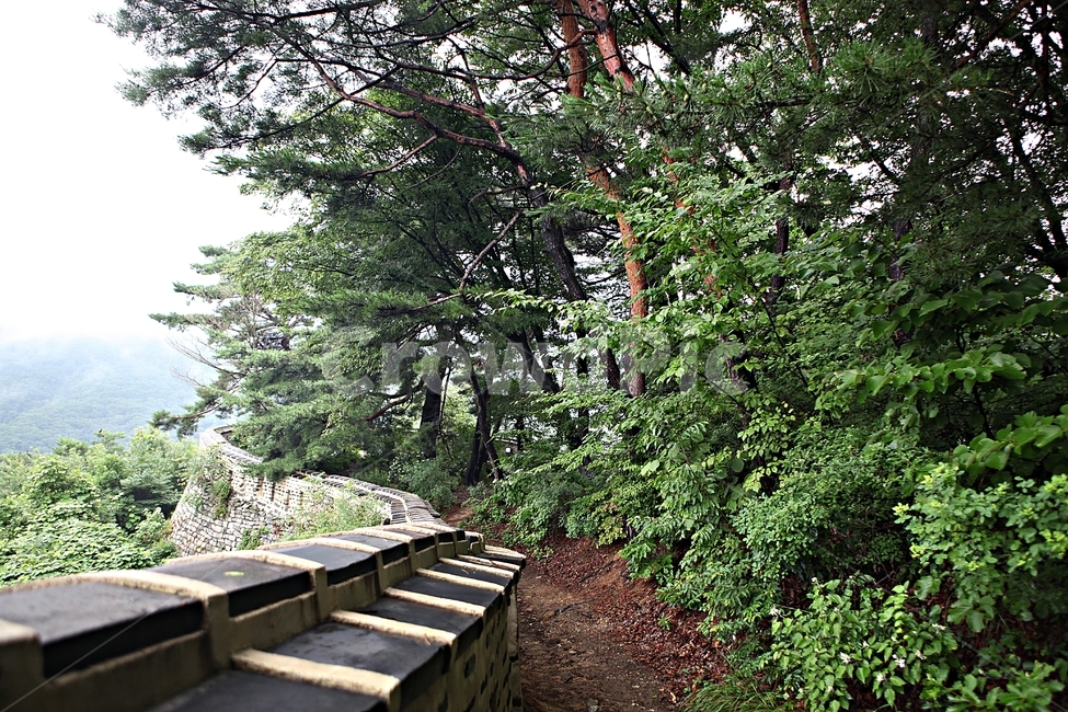 남한산성,성,성곽,길,둘레길,벽,숲길,숲,담,돌담,풍경,여름