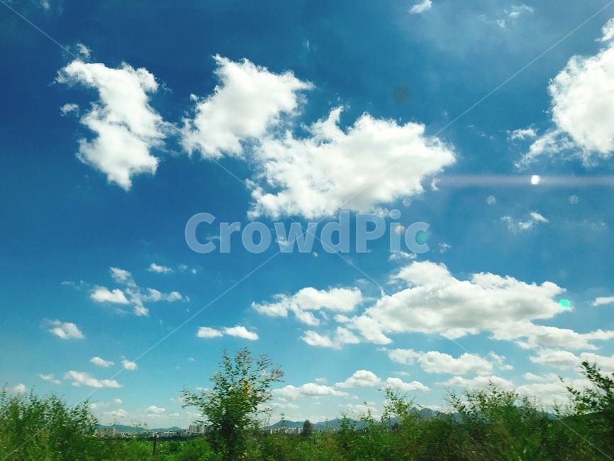 하늘,구름,나무,자연,맑음,자연,풍경,nature,landscape,outdoors,옥외,azure sky,푸른 하늘,sky