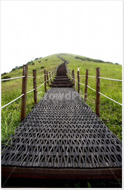 여름의소백산,소백산,백두대간,소배산등산,등산,명산,자연,풍경,nature,landscape,banister,난간,handrail,grassland,목초지,field,들,outdoors,옥외