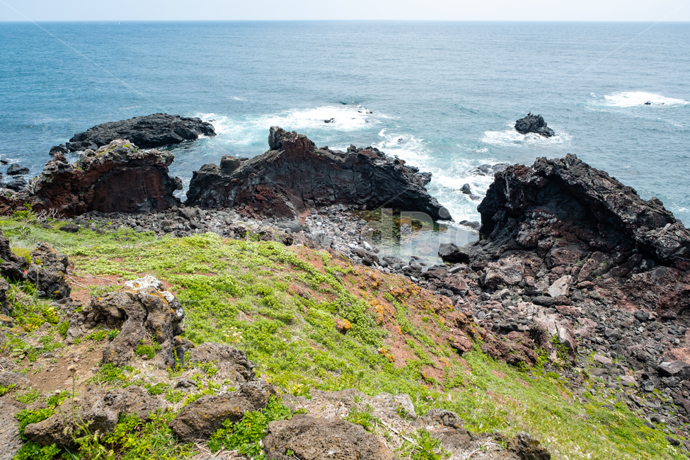 제주,제주도,성산일출봉,자연,바다,풍경,아름다운풍경,바닷가,섬,jeju,nature,풀,검은해변,검은돌,water,land,자연,풍경,nature,landscape,제주도,jeju,jeju island,plant,식물,promontory,곶