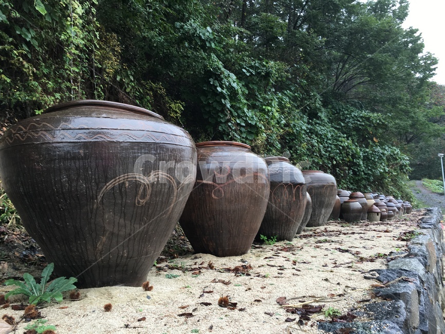 도기류,pottery,jar,항아리,urn,한식,전통,한국전통,한국문화,korean traditional,korean culture
