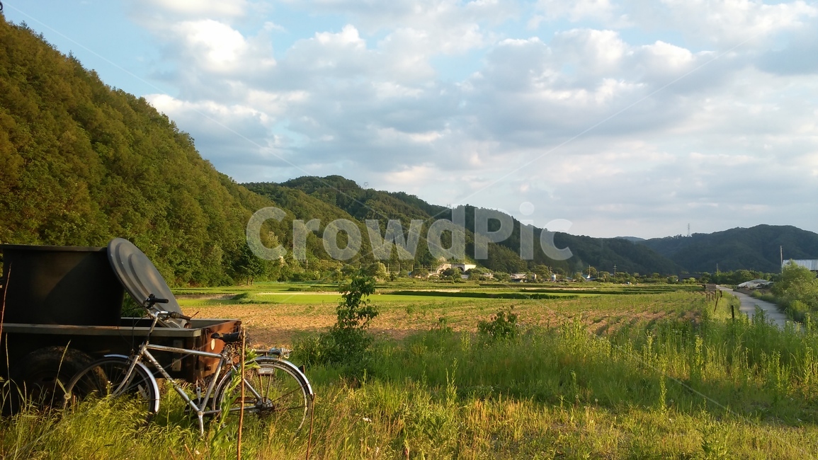 자연,식물,초록,하늘,산,자연,풍경,nature,landscape,bike,자전거,transportation,교통,bicycle,vehicle,차량,outdoors,옥외