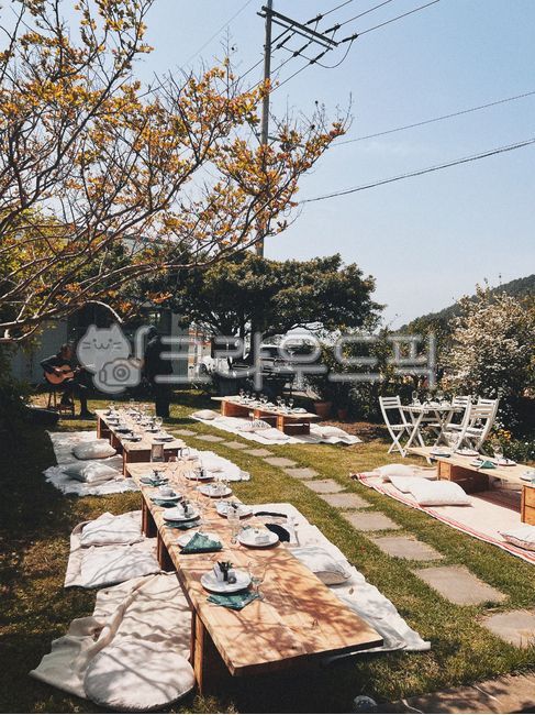 야외결혼식,가든파티,야외파티,스몰웨딩,정원파티,아웃도어,야외테이블,뒤뜰,마당