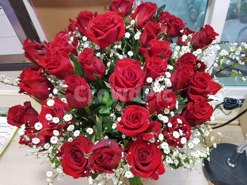 식물,꽃,flowerbouquet,꽃꽂이,장미