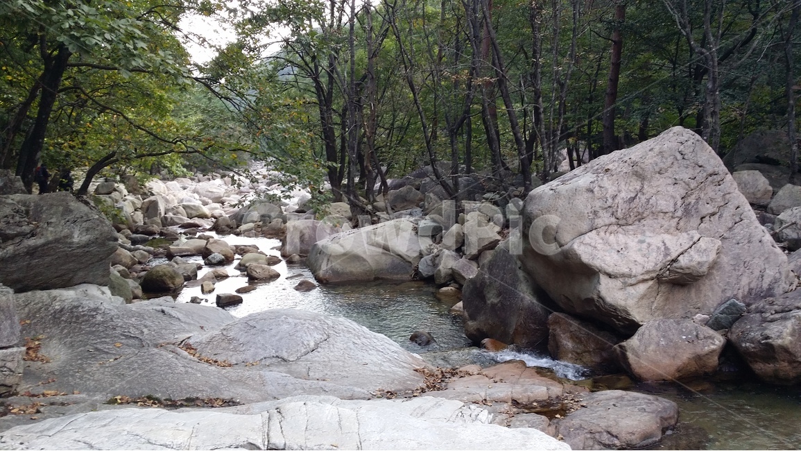 계곡,산,설악산,나무,명상,가을,픙경사진,자연,풍경,풍경사진,자연,풍경,nature,landscape,water,물,outdoors,옥외,creek,작은 만,stream,흐름