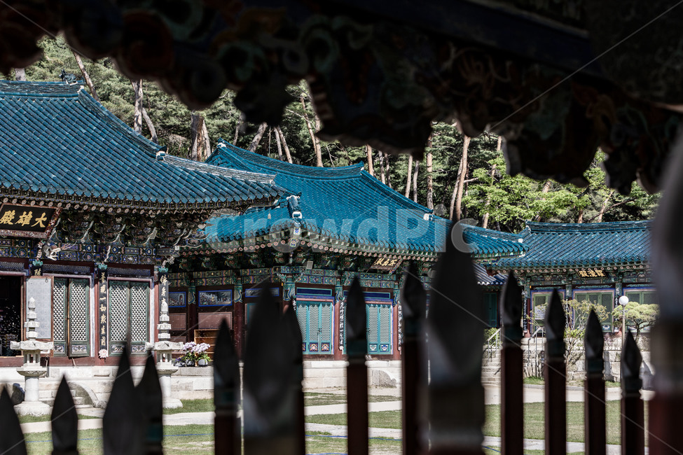 진관사,전통건축,사찰,고찰,문화재,대웅전,고건축,청기와,기와,지붕,한국전통,한국문화,korean traditional,korean culture