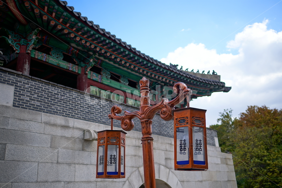 혜화문,서울,종로구,혜화동,한국,한국적인,korea,seoul,성문,성벽,성곽,한양도성,한옥,하늘,구름,나무,식물,풍경,landscape,전통,문화,한국전통,한국문화,문화재,전통문화,전등,등불,호롱불,전깃불,잡상,용두,용머리,와제,토우,기와,건물,건축,한국전통,한국문화,korean traditional,korean culture,랜드마크,landmark,tourist attraction,한국랜드마크,한국관광지,한국명소,korea landmark,korea tourist attraction,건축물,건물외관,exterior,building,structure,architecture,construction