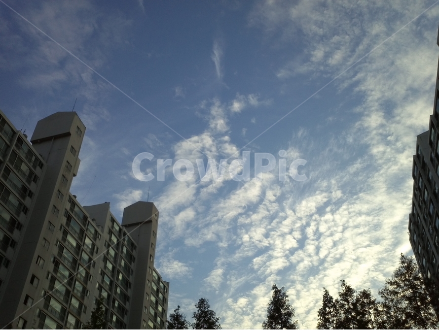 풍경,구름,하늘,여유,높음,도시,풍경,city,landscape,plant,식물,tree,나무,building,건물,office building,사무실 건물