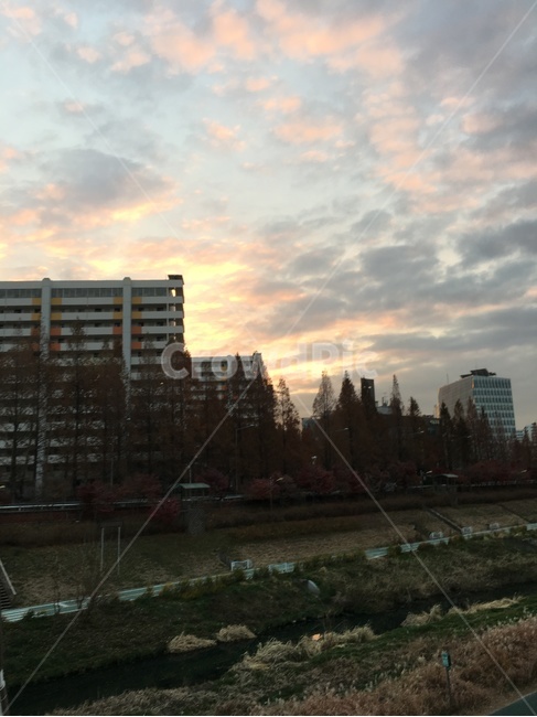 노을,하늘,분홍,저녁,산책,도시,풍경,city,landscape,office building,사무실 건물,building,건물