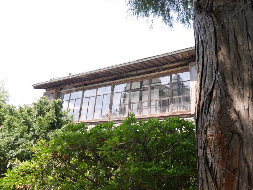 군산,일본식,일본가옥,히로쓰가옥,군산여행,집,나무,공존,옛일본식가옥,일제강점기,일제시대,일제,한국,역사,주거문화,일본주거지,건축물,건물외관,exterior,building,structure,architecture,construction,랜드마크,landmark,tourist attraction