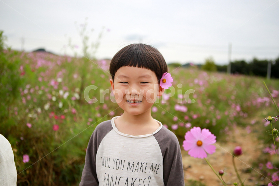 코스모스,코스모스와아이,아이,아들,가을,코스모스길,가을,계절,fall,autumn,season,식물,자연,plants,nature,꽃,flower,사람,인물,인간,human,person,어린이,어린아이,child,children,kid,sleeve,소매,plant,long sleeve,긴팔