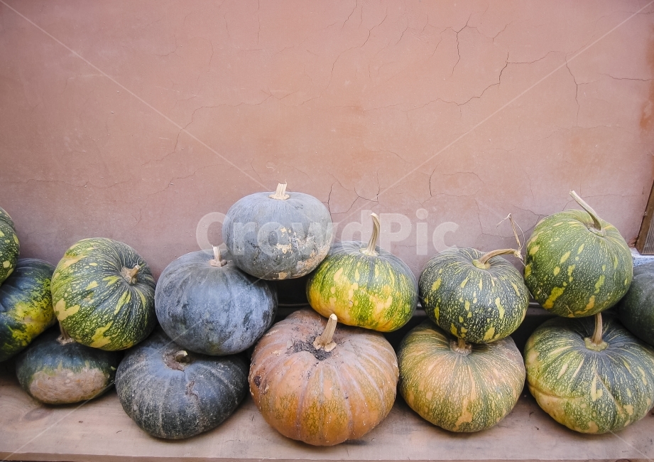 호박,농가,벽,농산물,pumpkin,농촌,음식,식재료,요리,food,cook,meal,dishes,food reserves,채소,야채,vegetables