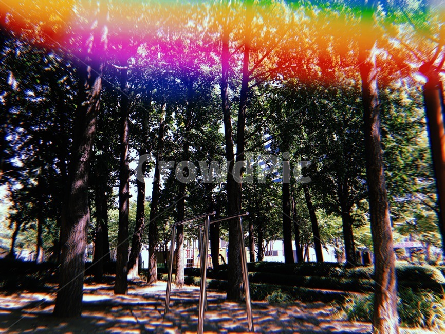 필름카메라,나무,숲,여름,무지개,녹색,초록,자연,naturelandscape,색깔,색상,색채,색감,colorsense,color,sensitivity,feelingofcolor,공원,감성,숨겨진,흙