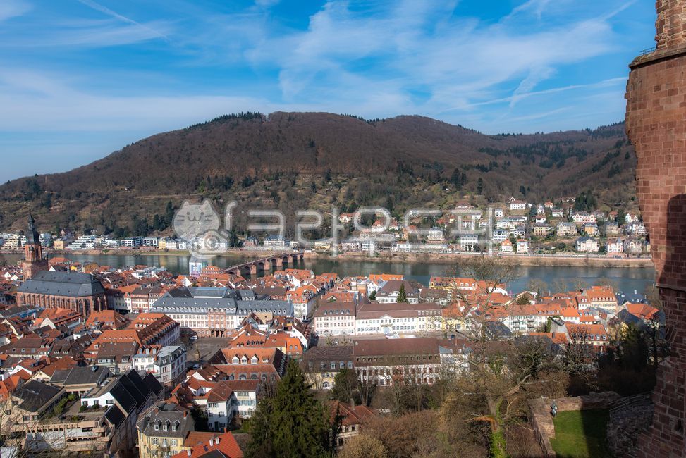 naturallandscape,germany,house,building,medievalcity,houses,cityscape,europe,educationcity,architecture,education city,roof,nature,medieval city,heidelberg,natural scenery,outdoors,river