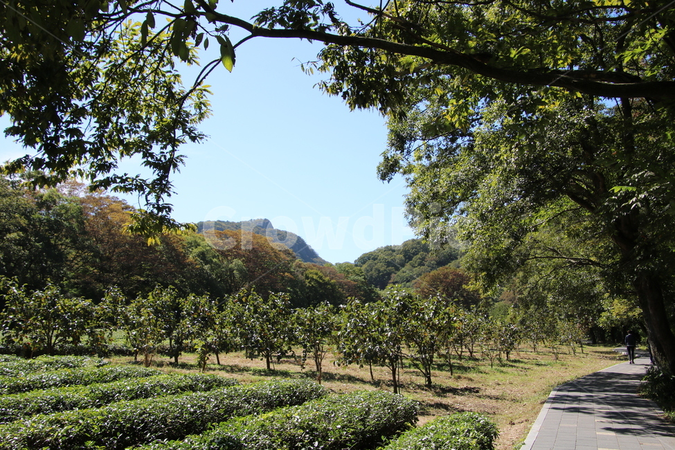 outdoors,옥외,자연,산,가을,한국자연풍경,한국자연경관,korea nature landscape