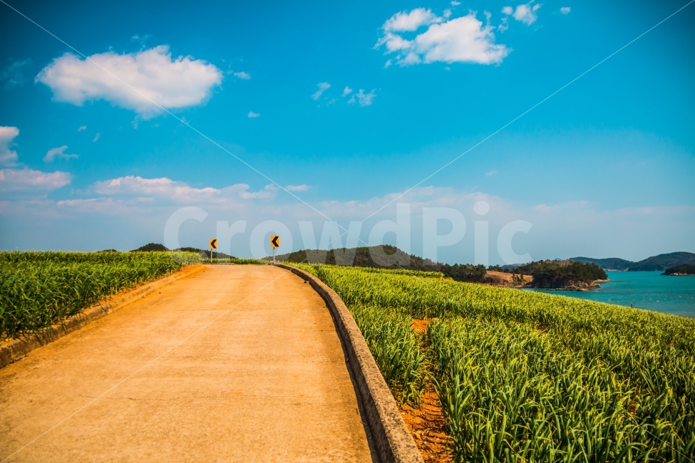 여행,풍경,하늘,백일도,바다,자연,풍경,nature,landscape,색깔,색상,색채,색감,color sense,color sensitivity,feeling of color,outdoors,옥외