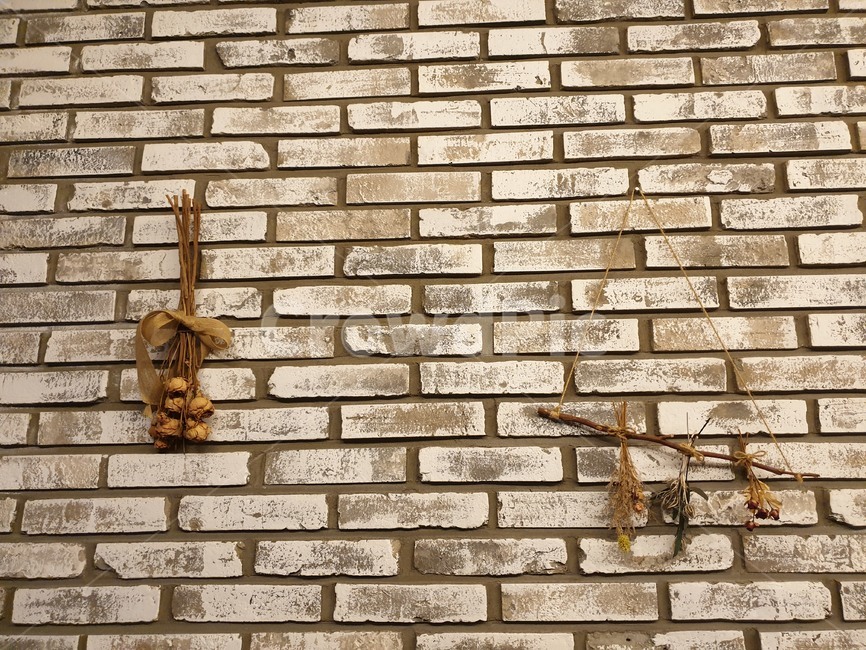 벽돌벽,카페,드라이플라워,flower,cafe