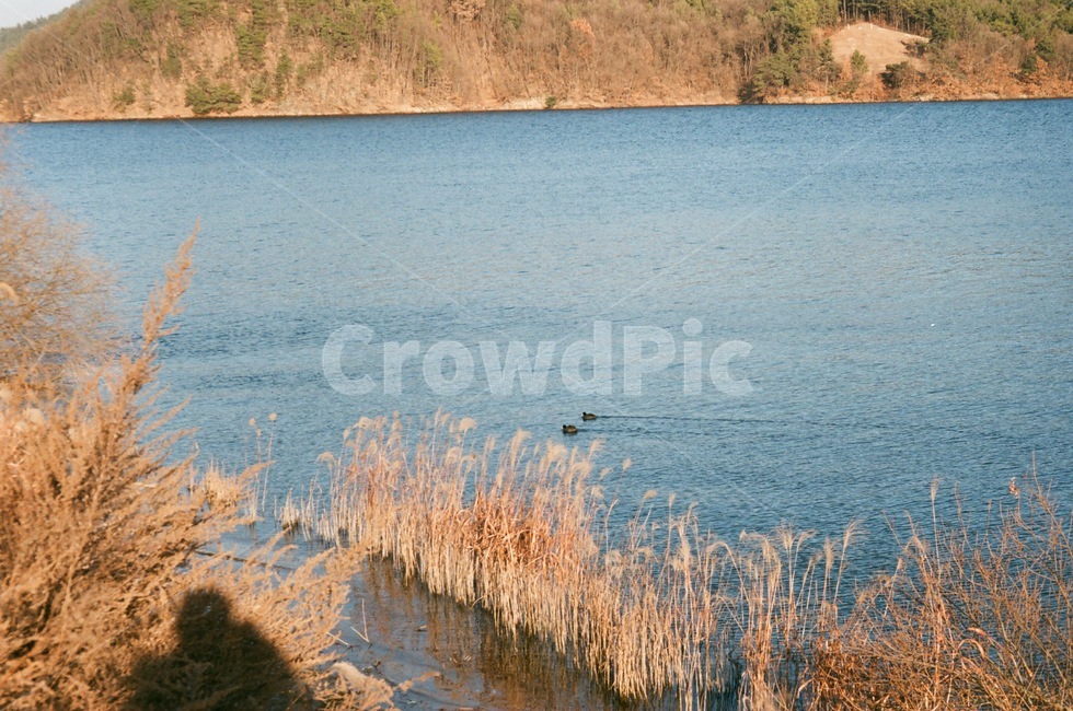 호수,겨울,자연,쓸쓸한,외로운,자연,풍경,nature,landscape,water,물,outdoors,옥외