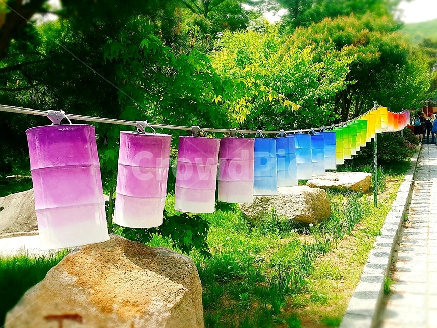 연등,등,절,부처님오신날,무지개색,종교,신앙,religion,belief,faith