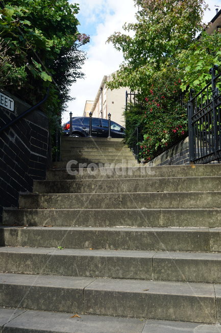 계단,나무,화창,맑음,한적,여유,sunny,tree,staircase
