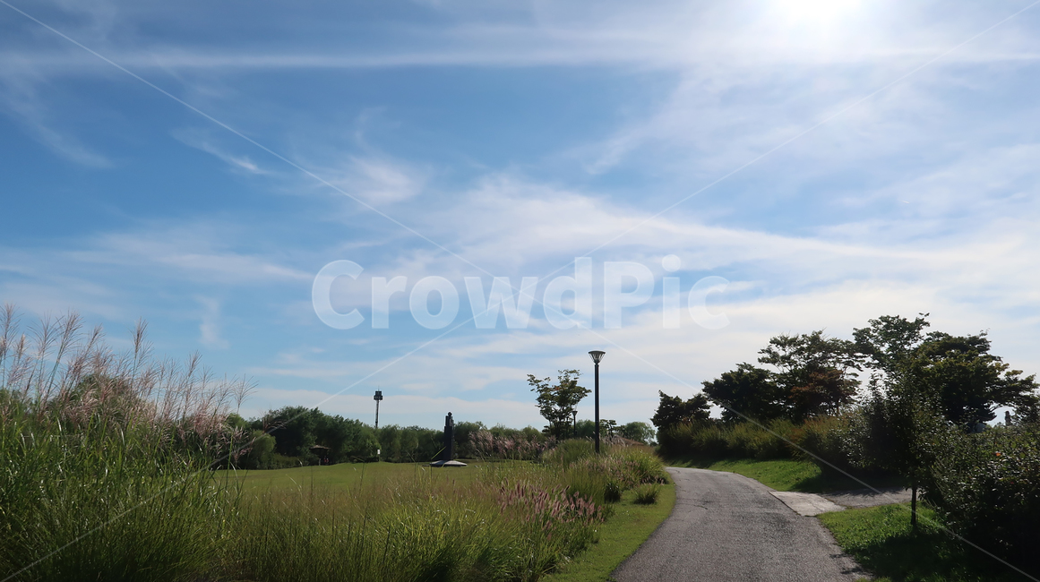 공원,park,outdoor,잔디,grass,야외,하늘,sky,sun,태양,tree,나무,blue,green,하늘공원,road,도로,asphalt,아스팔트,tarmac,타맥,field,들,자연,풍경,nature,landscape