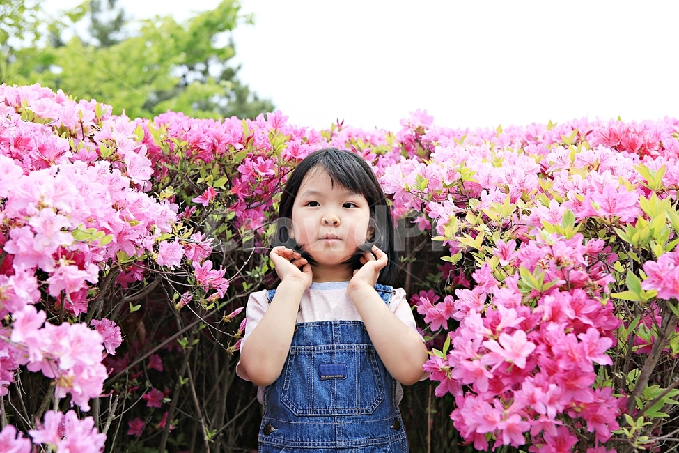 여자아이,아이,어린이,사람,자연,배경