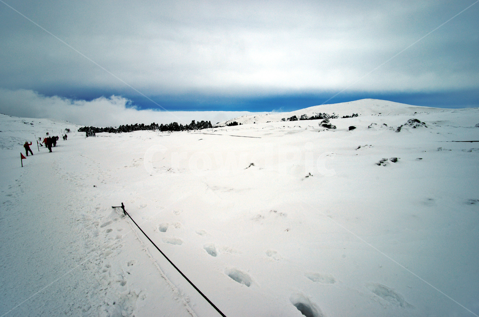 한라산,제주도,영실코스,설경,눈,겨울,설화,등산객,등산,발자국,겨울,계절,winter,season