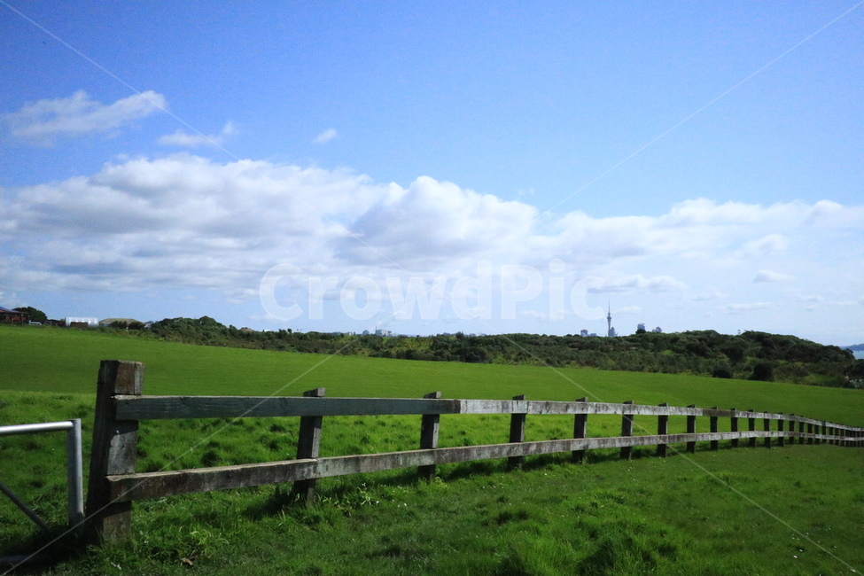 울타리,파란하늘,bluesky,peaceful,park,잔디,grass,blue,green,목장,farm,파란,푸른,자연,풍경,nature,landscape,outdoors,옥외