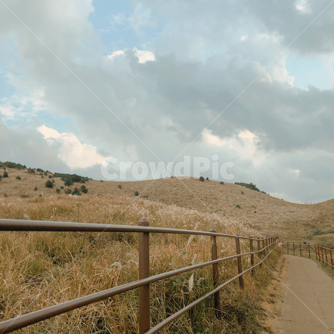제주,제주도,산굼부리,억새,갈대,railing,난간