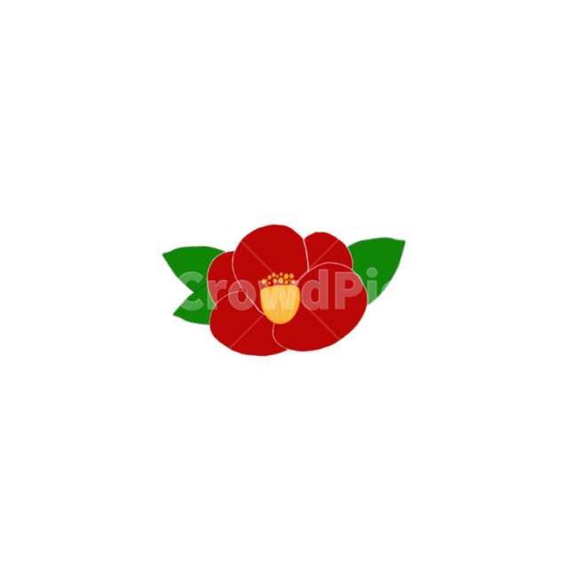 flower,플로랄디자인,pattern,동백꽃,꽃,누끼,remove background