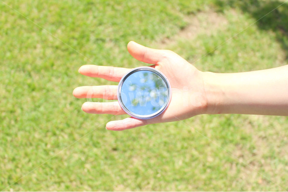 손,사람,거울,자연,하늘,tree,mirror,green,hand,body,사람,인물,인간,human,person,신체일부,몸,body,사물,물건,오브젝트,thing,object,matter