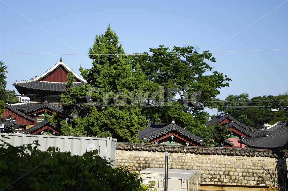 창덕궁,궁궐,기와지붕,담장,한국,하늘