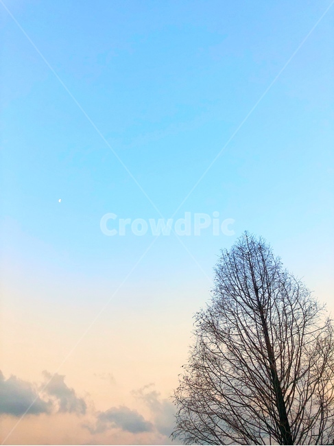 nature,자연,outdoors,옥외,weather,날씨,sky,하늘,cloud,구름,저녁,석양,나무