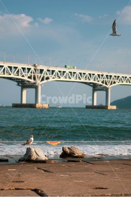 water,bird,새,animal,동물,wood,나무,물,동물,animal,조류,새,birds,건축물,건물외관,exterior,building,structure,architecture,construction