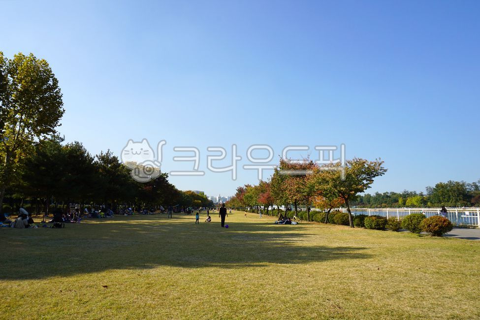 공원,하남,경정공원,정원,피크닉,나들이,휴가,휴식,식물,사람,인간,잔디,옥외,미사,단풍,나무,가족,가을,계절,경치,나른한,여유로운,한가한,밝은,평화로운,plant,grass,person,human,park,lawn,outdoors