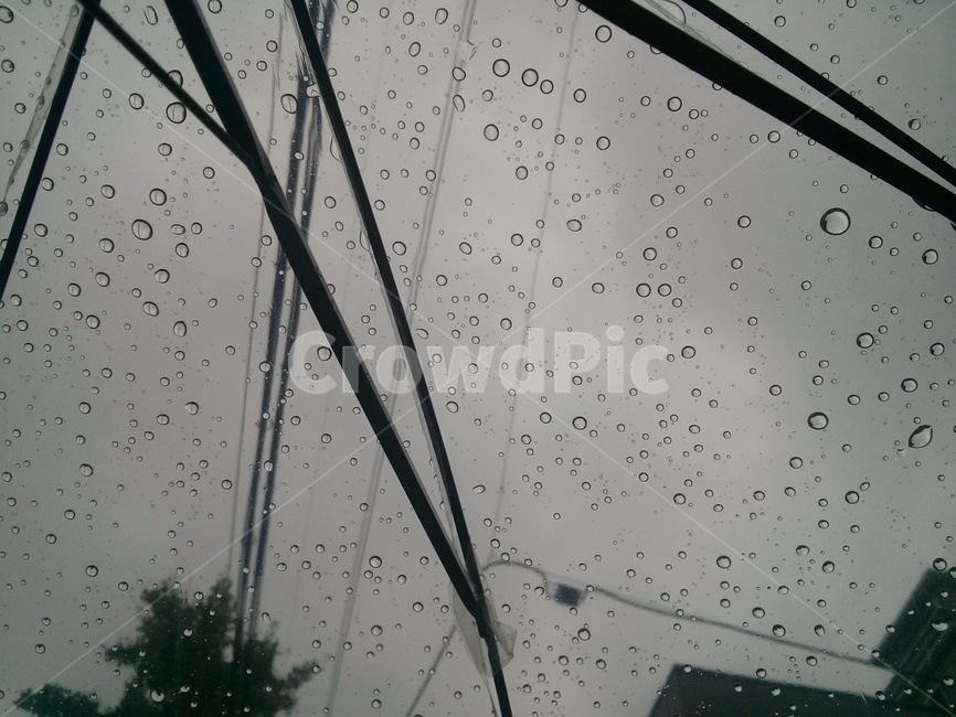 하늘,구름,산,주택가,sky,cloud,residentialarea,tree,나무,먹구름,흐림,빗방울,우산,우산살,전깃줄,cable,cloudy,umbrellaribs,darkclouds,umbrella,raindrop,overcast,gray,흐리다,흐릿하다