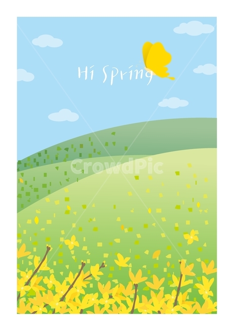 illustration,vector,개나리,하늘,푸른초원,잔디,초록색,하늘색,노랑색,구름,나비,노랑나비,개나리배경,공원,언덕,봄이미지