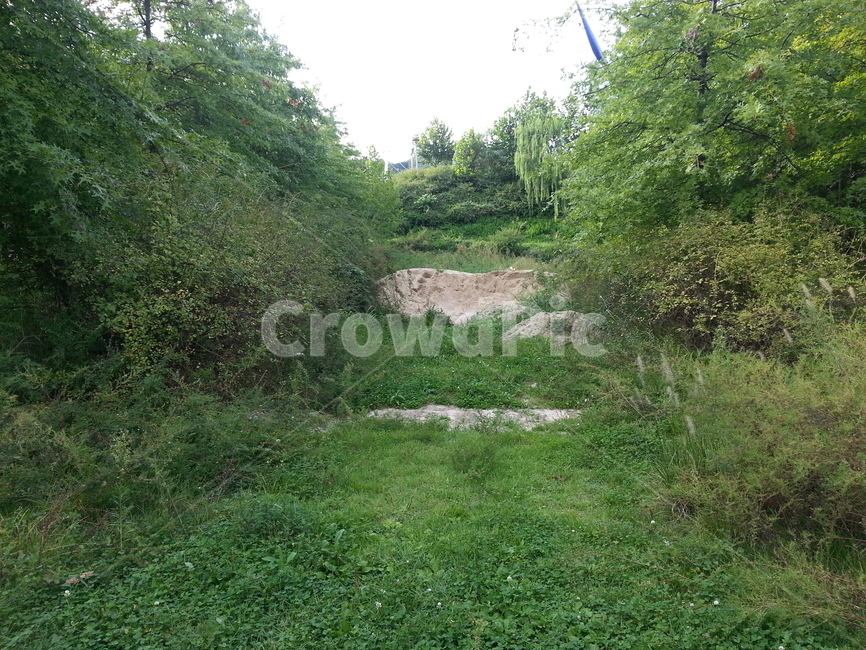 outdoors,옥외,nature,자연,field,들,목초지