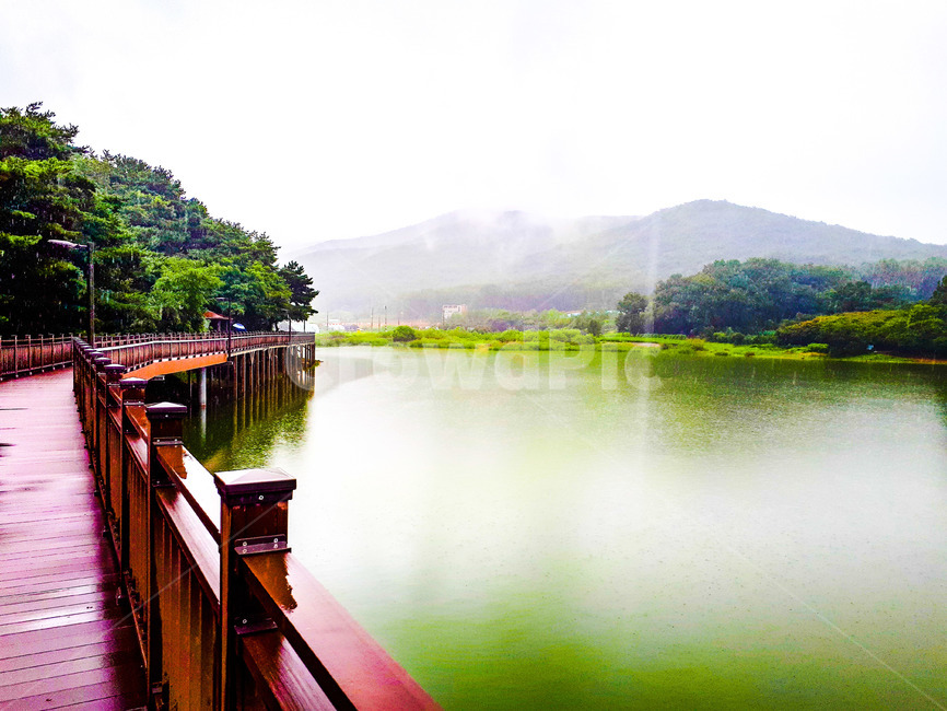 부천시,상동호수공원,호수공원,호수,풀밭,녹음,숲,나무,전경,전망,풍경,경치,풍광,푸른숲,산책로,다리,경기도,자연,푸른호수,수면,안개,목책,난간,컴퓨터배경사진,배경사진,배경,풍경사진,백그라운드,배경이미지,풍경이미지,엽서사진,자연,풍경,nature,landscape,water,물,waterfront,워터 프론트,pier,교각,port,포트