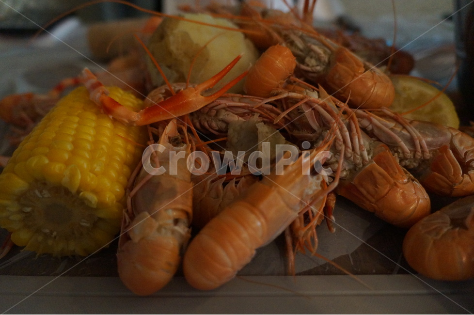 제주,딱새우,새우찜,감자,옥수수,맛있다,해산물,음식,식재료,요리,food,cook,meal,dishes,food reserves,수산물,해산물,fishery products,seafood