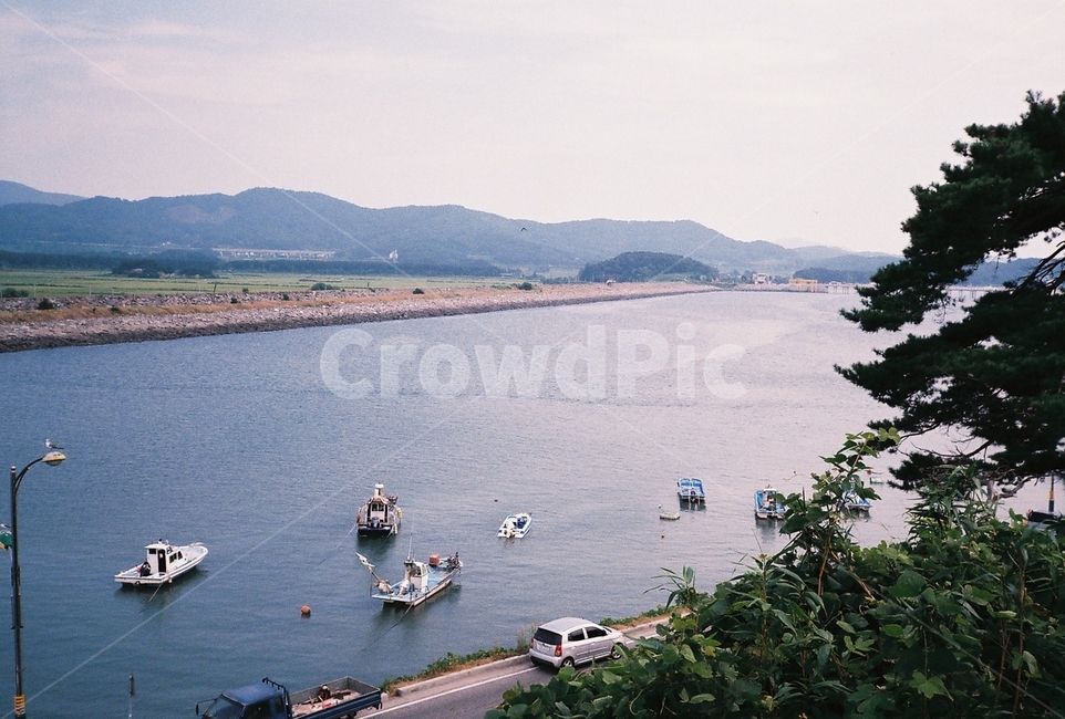나무,tree,식물,plant,바다,sea,자연,nature,필름,필름사진,film,경치,풍경,landscape,outdoors,옥외,water,물,boat,보트,watercraft,선박