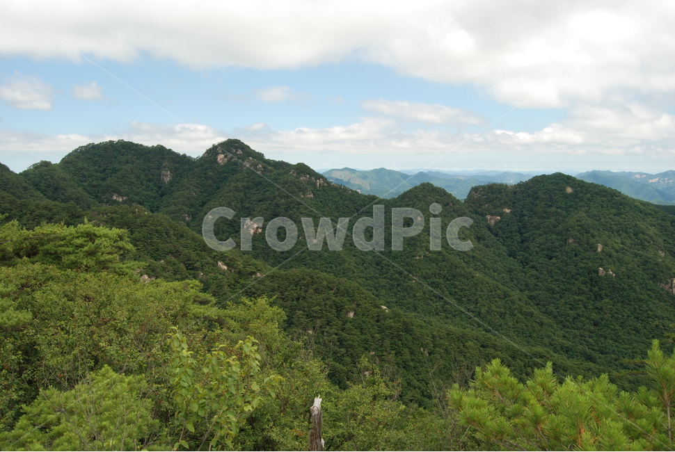 자연,하늘,구름,나무,등산로,자연,풍경,nature,landscape,outdoors,옥외,slope,경사,hill,언덕